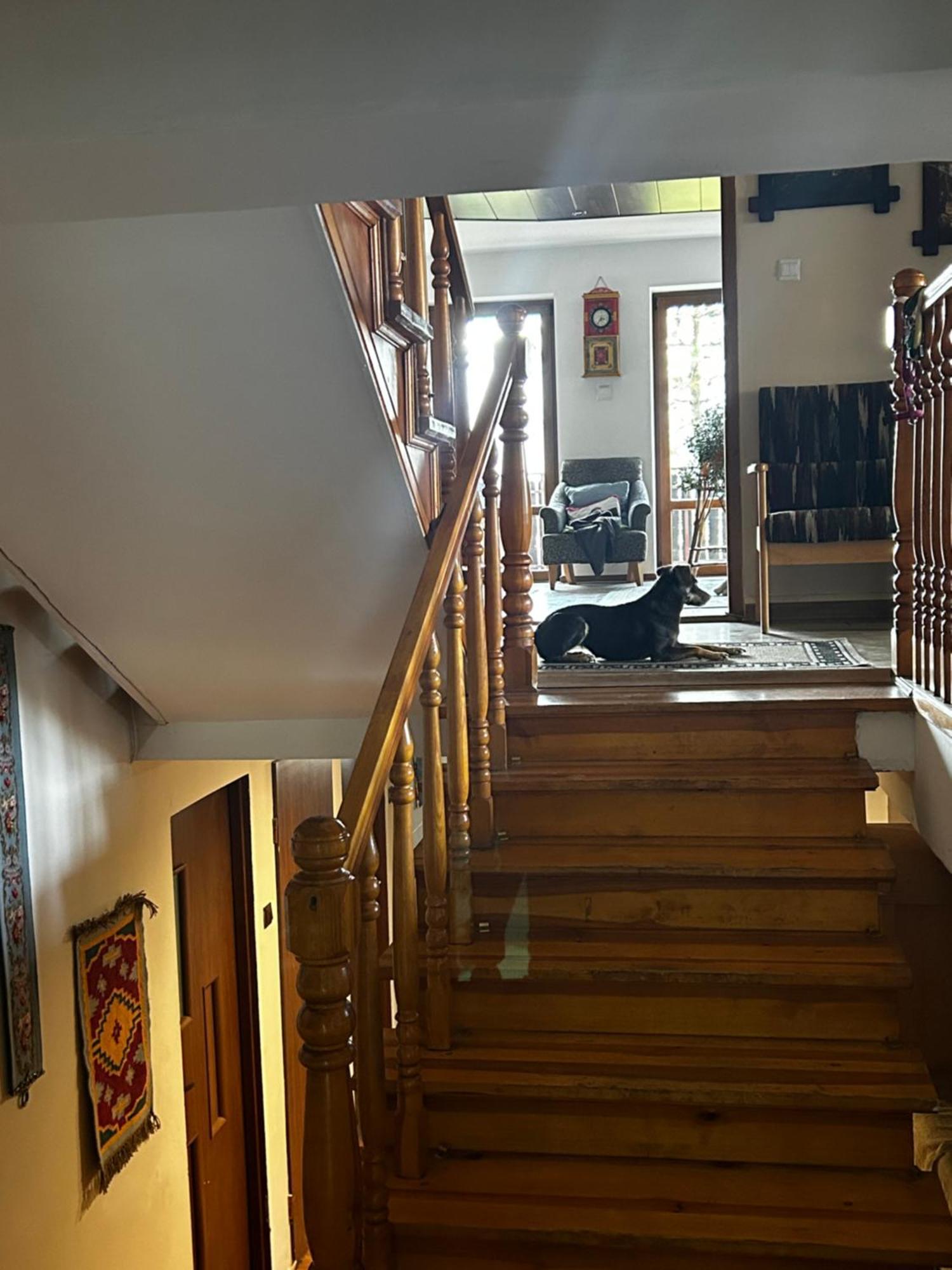 Willa Karolinka Stroza - Pet Friendly Мисленице Екстериор снимка